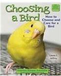 Choosing a Bird