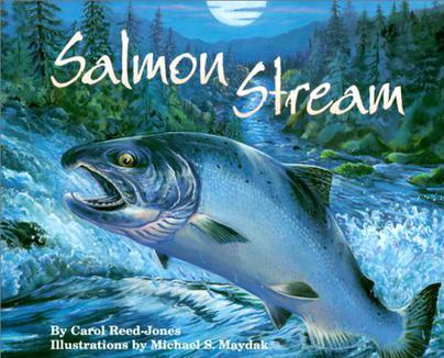 Salmon Stream