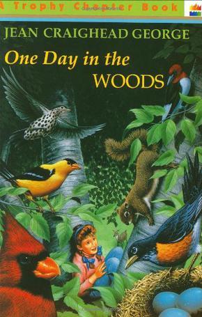 One Day in the Woods