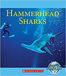 Hammerhead Sharks (Nature's Children)