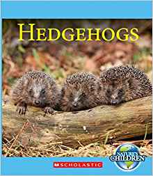 Hedgehogs (Nature's Children)