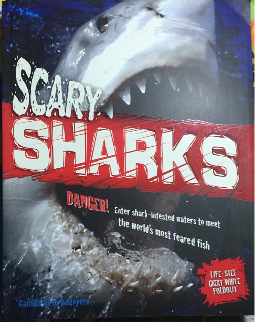 scary sharks