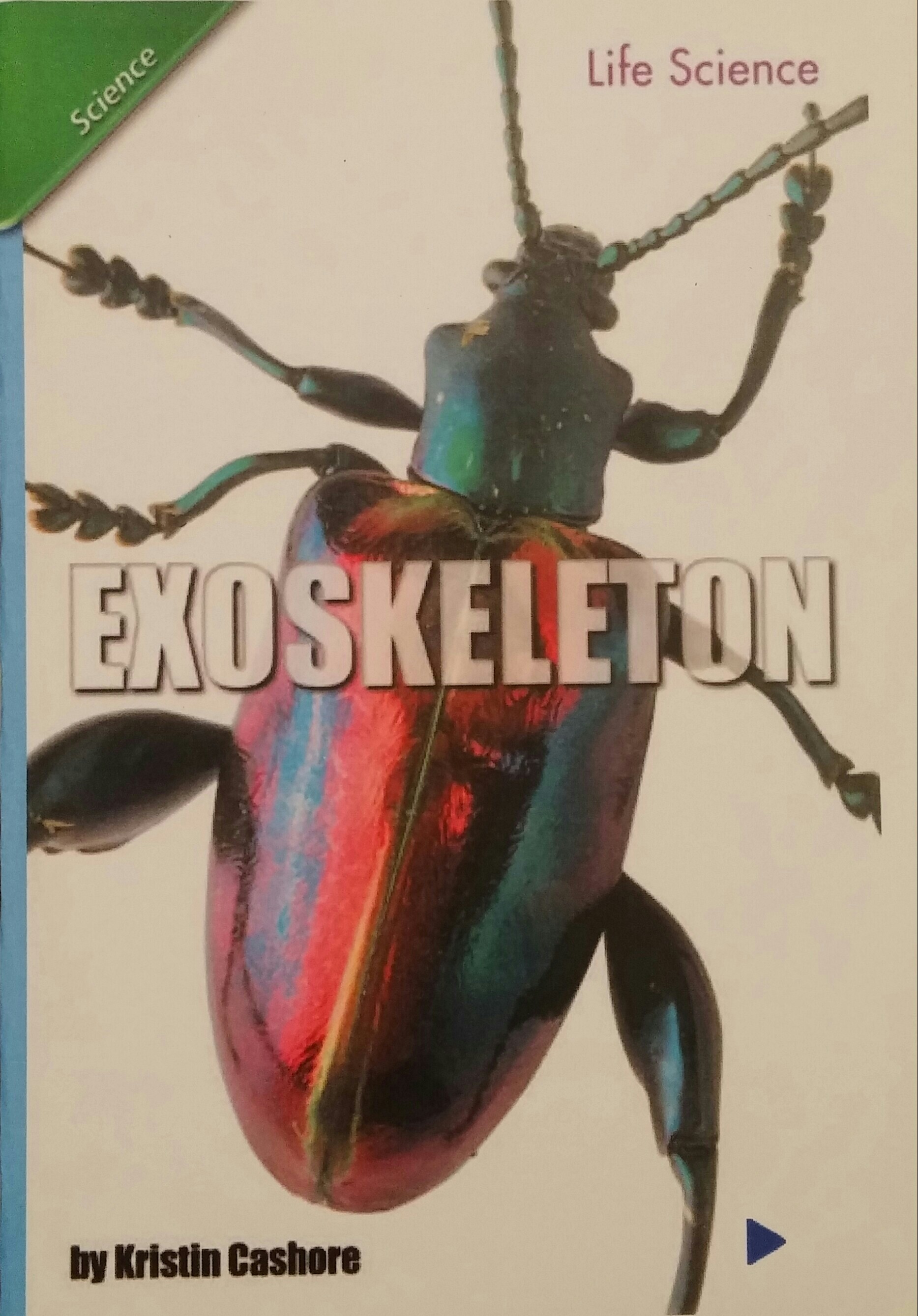 Exoskeleton