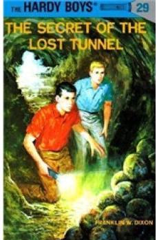 Hardy Boys 29: The Secret of the Lost 