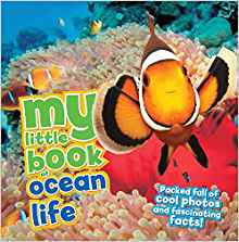 My Little Book of Ocean Life: Packed f