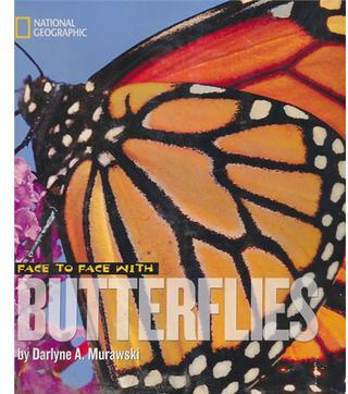 Face to Face with Butterflies