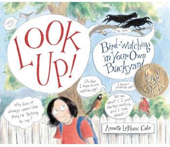 Look Up!: Bird-Watching in Your Own Ba