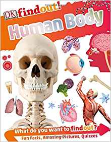 DK findout! Human Body