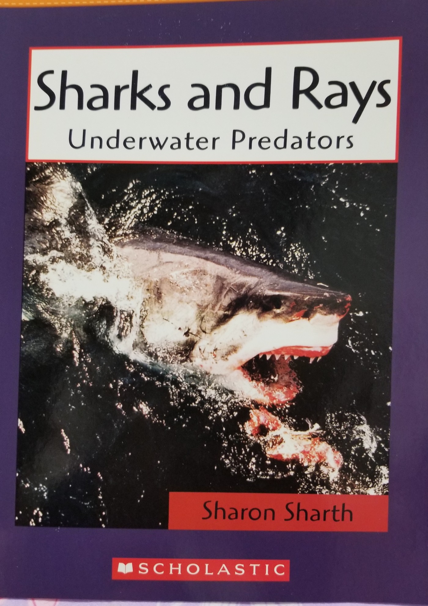 sharks and rays