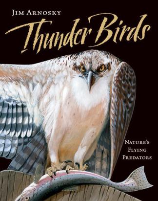 Thunder Birds