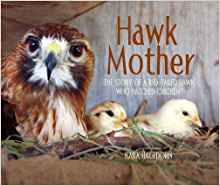 Hawk Mother: The Story of a Red-tailed