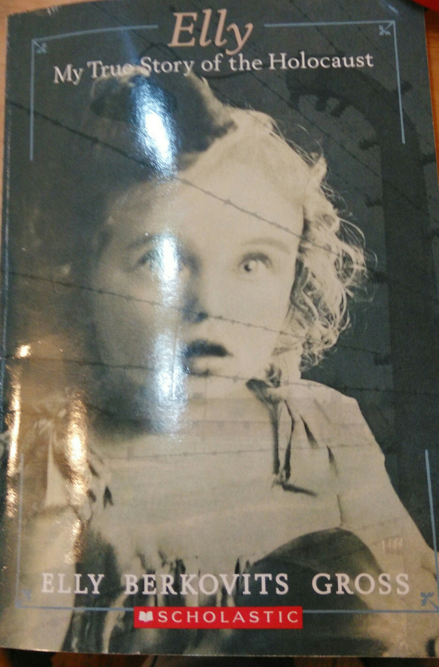 Elly My True Story Of The Holocaust