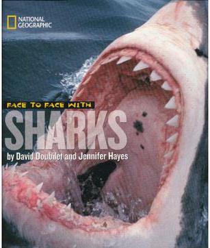 Face to Face with Sharks