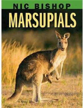 Nic Bishop: Marsupials尼克·毕希普系列: 有袋动物  