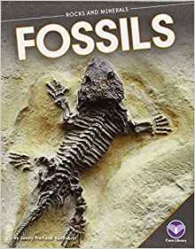 Fossils (Rocks and Minerals)