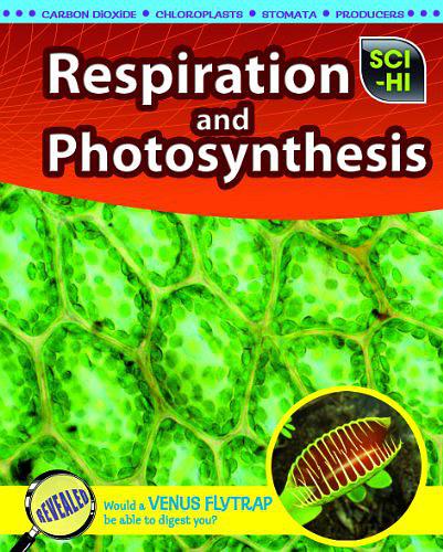 Respiration and Photosynthesis