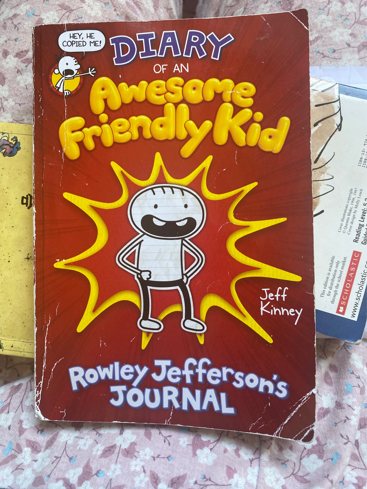 Diary of an Awesome Friendly Kid