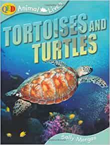 Tortoises and Turtles (QED Animal Live