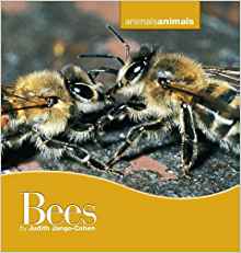 Bees (Animals Animals)
