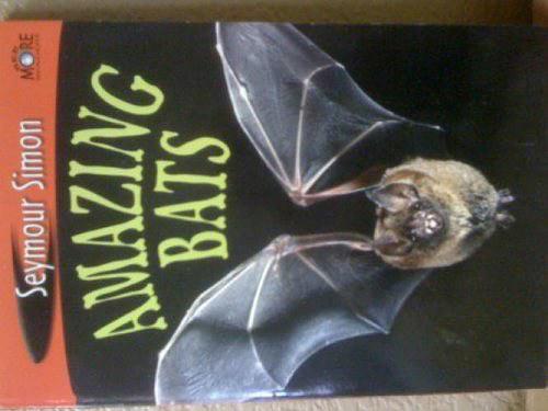 Big Bad and a Little Bit Scary