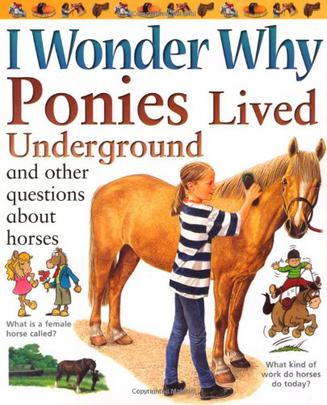 I Wonder Why Ponies Lived Underground
