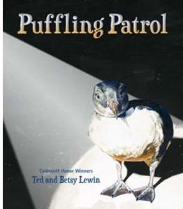 Puffling Patrol