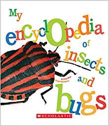 My Encyclopedia of Insects and Bugs