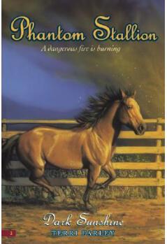 Dark Sunshine (Phantom Stallion #3)