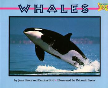 Whales  [07--12]