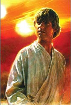 Star Wars: A New Hope: The Life of Luk