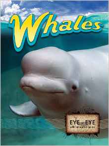Whales (Eye to Eye with Endangered Spe