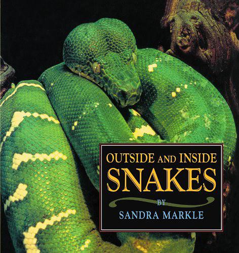 Outside and Inside Snakes