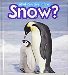 What Can Live in the Snow? (Read and L