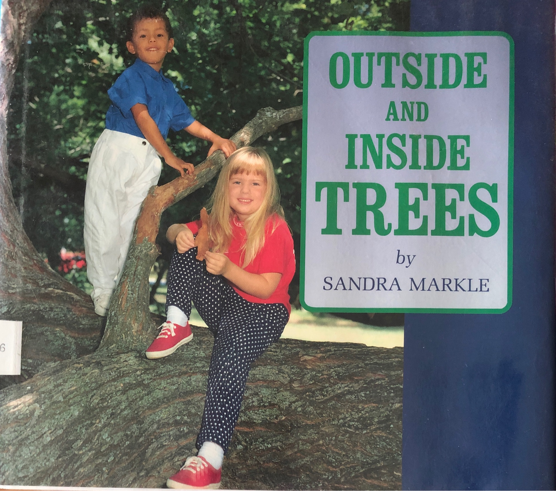Outside and Inside Trees