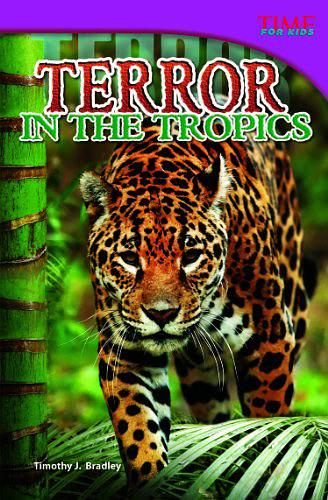 Terror in the Tropics