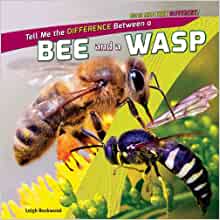 Tell Me the Difference Between a Bee a