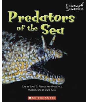 Predators of the Sea
