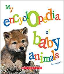My Encyclopedia of Baby Animals