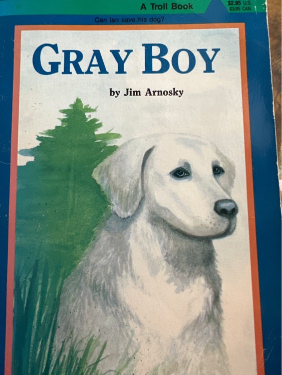 Gray boy