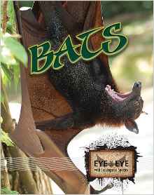 Bats (Eye to Eye with Endangered Speci