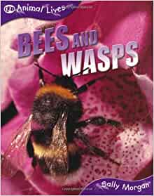 Bees and Wasps (QED Animal Lives)