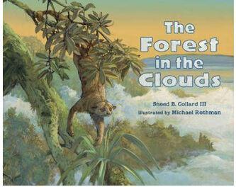 The Forest in the Clouds