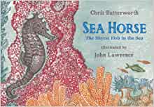Sea Horse: The Shyest Fish in the Sea 