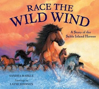 Race the Wild Wind: A Story of the Sab