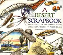 A Desert Scrapbook: Dawn to Dusk in th