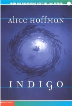 Indigo 蓝  [12岁及以上]