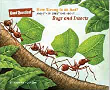 How Strong Is an Ant?: And Other Quest