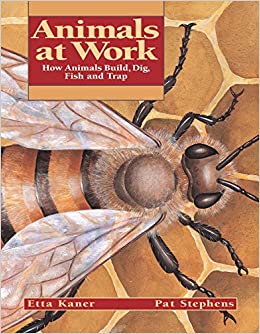 Animals at Work: How Animals Build, Di