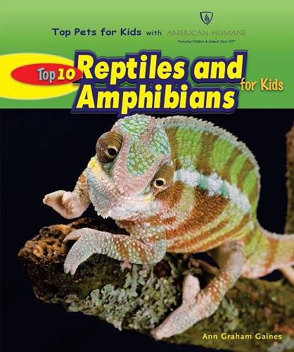 Top 10 Reptiles and Amphibians for Kid