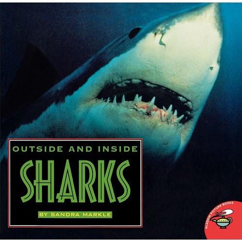 Outside and Inside Sharks
